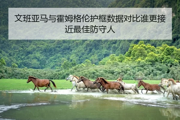 文班亚马与霍姆格伦护框数据对比谁更接近最佳防守人