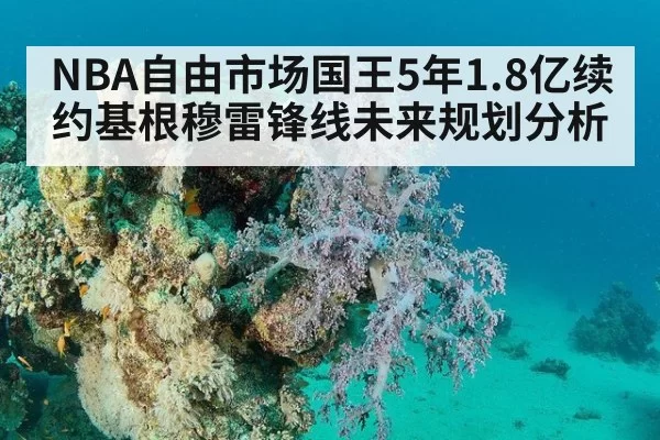NBA自由市场国王5年1.8亿续约基根穆雷锋线未来规划分析 - leyu