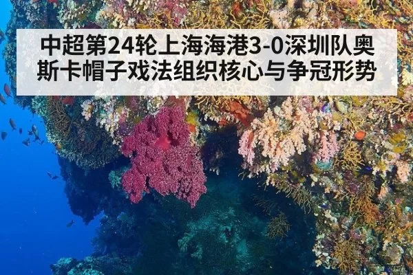 中超第24轮上海海港3-0深圳队奥斯卡帽子戏法组织核心与争冠形势 - leyu